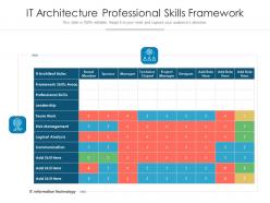 It architecture professional skills framework