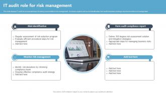 IT Audit Role For Risk Management