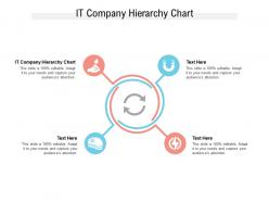 It company hierarchy chart ppt powerpoint presentation styles styles cpb