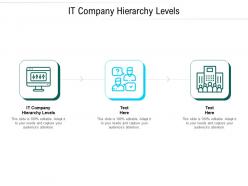 It company hierarchy levels ppt powerpoint presentation ideas example file cpb