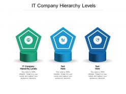 It company hierarchy levels ppt powerpoint presentation slides infographic template cpb