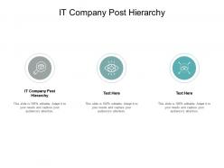 It company post hierarchy ppt powerpoint presentation portfolio graphics example cpb