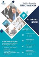 It consultant two page brochure template