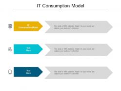 It consumption model ppt powerpoint presentation inspiration rules cpb