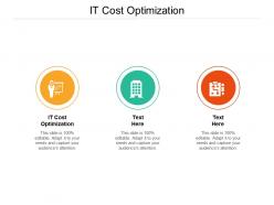 It cost optimization ppt powerpoint presentation visual aids deck cpb