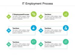 It employment process ppt powerpoint presentation outline example cpb