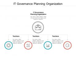 It governance planning organization ppt powerpoint presentation layouts backgrounds cpb