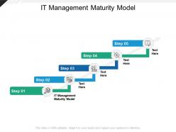 It management maturity model ppt powerpoint presentation model tips cpb
