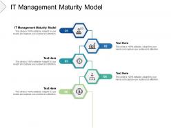 It management maturity model ppt powerpoint presentation portfolio cpb