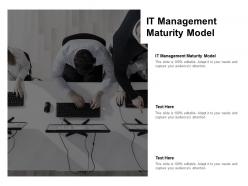 It management maturity model ppt powerpoint presentation styles background designs cpb