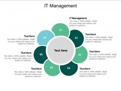 It management ppt powerpoint presentation show example cpb