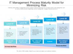 It management process maturity model for minimizing risk
