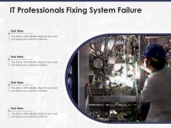 It professionals fixing system failure