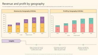 It Solutions Company Profile Revenue And Profit By Geography Ppt Styles Designs Download