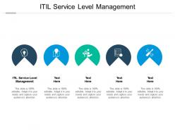Itil service level management ppt powerpoint presentation layouts portfolio cpb