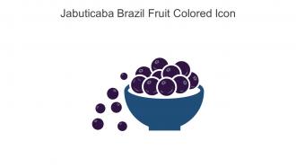 Jabuticaba Brazil Fruit Colored Icon In Powerpoint Pptx Png And Editable Eps Format