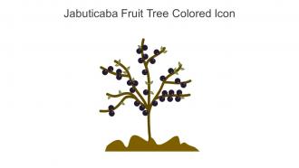 Jabuticaba Fruit Tree Colored Icon In Powerpoint Pptx Png And Editable Eps Format