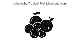 Jabuticaba Tropical Fruit Monotone Icon In Powerpoint Pptx Png And Editable Eps Format