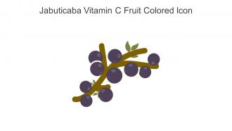 Jabuticaba Vitamin C Fruit Colored Icon In Powerpoint Pptx Png And Editable Eps Format