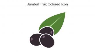 Jambul Fruit Colored Icon In Powerpoint Pptx Png And Editable Eps Format