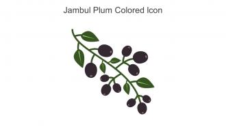 Jambul Plum Colored Icon In Powerpoint Pptx Png And Editable Eps Format