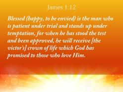 James 1 12 god has promised to those powerpoint church sermon