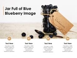 Jar full of blue blueberry image