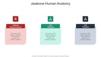 Jawbone Human Anatomy In Powerpoint And Google Slides Cpb