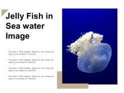 Jelly fish in sea water image
