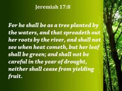Jeremiah 17 8 year of drought and never powerpoint church sermon