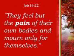 Job 14 22 the pain of their own bodies powerpoint church sermon