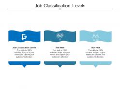 Job classification levels ppt powerpoint presentation layouts background cpb