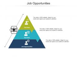 Job opportunities ppt powerpoint presentation gallery aids cpb