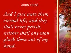 John 10 28 one will snatch them powerpoint church sermon