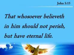 John 3 15 believes may have eternal life powerpoint church sermon