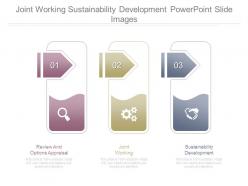 Joint Working Sustainability Development Powerpoint Slide Images