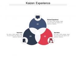 Kaizen experience ppt powerpoint presentation ideas guidelines cpb