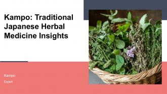 Kampo Traditional Japanese Herbal Medicine Insights PPT Template ST AI
