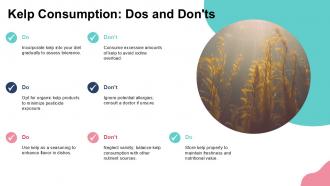 Kelp Consumption Dos And Donts PPT Example ST AI SS