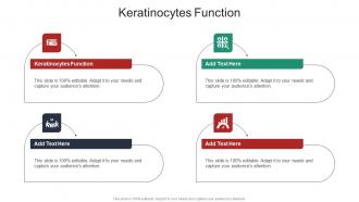 Keratinocytes Function In Powerpoint And Google Slides Cpb