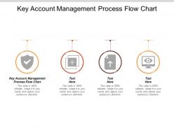 Key account management process flow chart ppt powerpoint presentation layouts pictures cpb