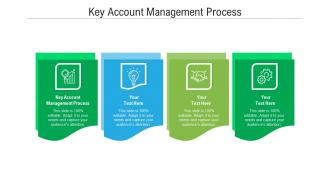 Key account management process ppt powerpoint presentation portfolio influencers cpb