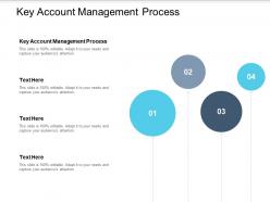 Key account management process ppt powerpoint presentation topics cpb