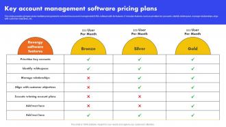 Key Account Management Software Pricing Plans Analyzing And Managing Strategy SS V