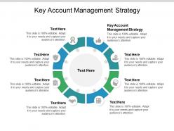 Key account management strategy ppt powerpoint presentation icon cpb