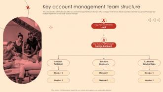 Key Account Management Team Structure Ppt Infographic Template Backgrounds