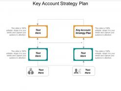 Key Account Strategy Plan Ppt Powerpoint Presentation Portfolio Graphics Download Cpb