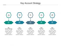 Key account strategy ppt powerpoint presentation inspiration clipart cpb