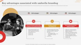 Key Advantages Associated With Umbrella Branding Successful Brand Expansion Through