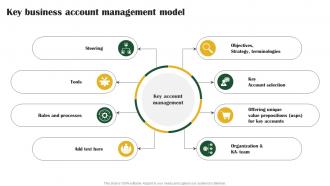 Key Business Account Management Key Customer Account Management Tactics Strategy SS V